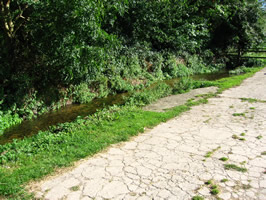 Letcombe Brook